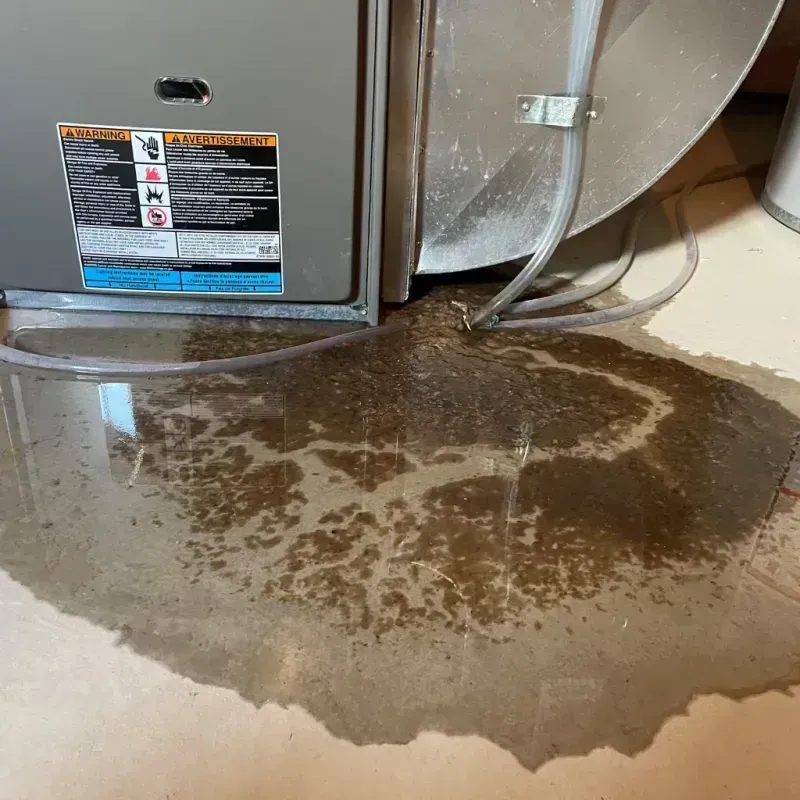 Appliance Leak Cleanup in Cuba, IL